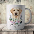 Buscar labrador retriever tazas Retrato