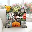 Buscar cactus cojines Florecer