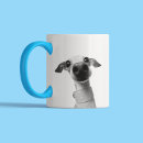 Buscar galgo tazas Para mascotas