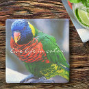 Buscar bird posavasos Fotografía