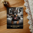Buscar doberman pinscher tarjetas Canino
