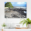 Buscar lava arte Playa