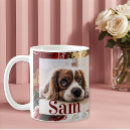 Buscar pérdida tazas Para mascotas