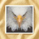 Buscar aguila Águila americana