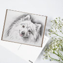 Buscar raza mascotas General y unisex