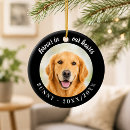Buscar mascota memoriales adornos General y unisex