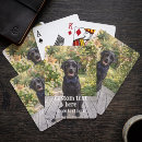 Buscar el subir barajas de cartas Para todos