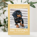 Buscar veterinarios tarjetas General y unisex