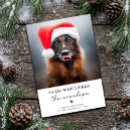 Buscar divertidas del perro tarjetas Para todos