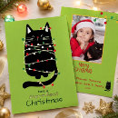Buscar del gato tarjetas de navidad Para todos