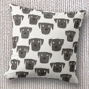 Buscar labrador retriever Perro
