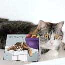 Buscar gatito del tabby tarjetas Para ella