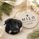 Buscar primer navidad mascotas Para todos
