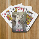 Buscar mascotas barajas de cartas Tipografía