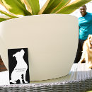 Buscar perro blanco oficina escuela Canino