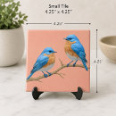 Buscar pájaros azules azulejos Para ellos