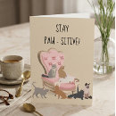 Buscar pata tarjetas Gato