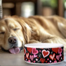 Buscar romance mascotas Amor