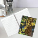 Buscar abeto cuadernos Árboles