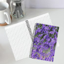 Buscar herbario libretas Flores
