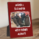 Buscar caballo blanco placas fotograbadas Animales