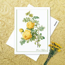 Buscar pierre joseph redoute postales Floral