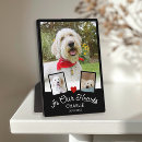 Buscar mascota memoriales fotos General y unisex