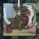 Buscar perro de salchicha adornos Dachshund