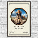 Buscar perro afgano posters Animal