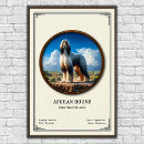 Buscar perro afgano posters Animal