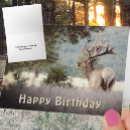 Buscar toro fotografía Cumpleaños
