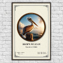 Buscar pelícano posters Marrón