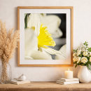 Buscar narciso posters General y unisex