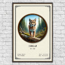 Buscar lince posters Gato salvaje