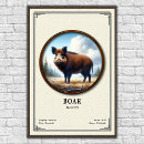 Buscar jabalí posters Salvaje
