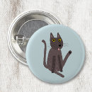Buscar gato chapas Divertido