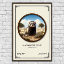 Buscar hurón posters Animal