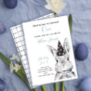 Buscar conejos invitaciones Animales