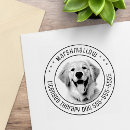 Buscar sello del perro fotografía Perros
