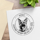 Buscar pastor belga postales Retrato