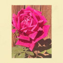 Buscar flores rosadas postales Madre