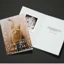 Buscar gatos tarjetas Amante del gato