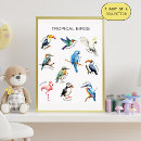 Buscar colores tropicales posters Para ellos