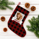 Buscar hueso calcetines navideños Foto