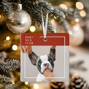 Buscar festivo mascotas Para todos