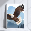 Buscar águilas águilas posters Ee uu