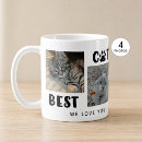 Buscar imágenes de gatos tazas Nombre
