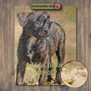 Buscar cachorro puzzles Lindo
