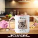 Buscar imágenes de gatos tazas Para ella