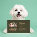 Buscar paseo tarjetas de visita Perros